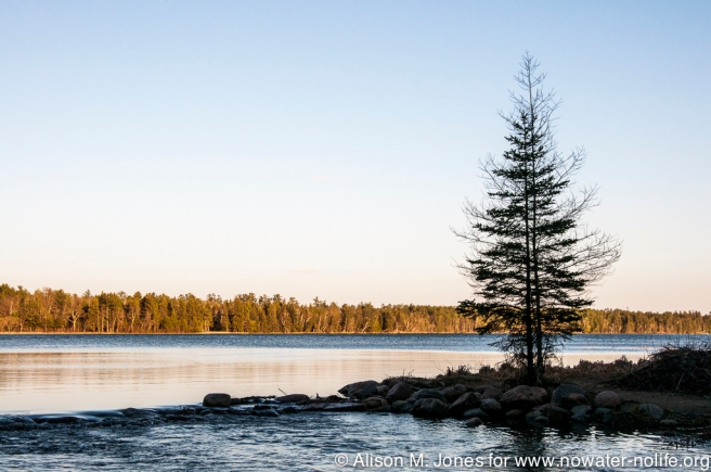 USA-Minnesota, Itasca State Park (Headwaters of the Mississippi River)
