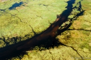 Botswana: Okavango Delta, aerial view of channels in wetlands